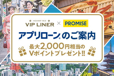 [VIP LINER X promise] Guidance of simple application loan usable usefully