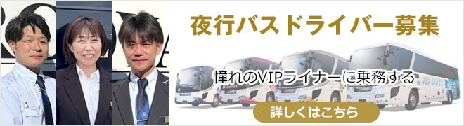 Recruitment of VIP LINER Night Bus drivers