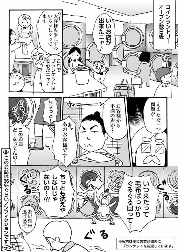 マンガ「ネコ社長がゆく～」 第14話「ふかふかブランケット」の巻 5ページ