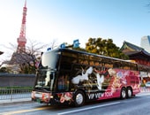 【VIP VIEW TOUR】オープントップバス乗車プラン