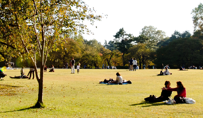 公園
