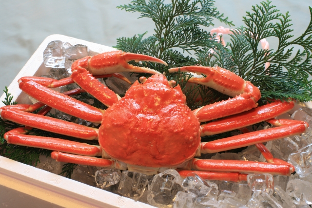 食べ放題も！金沢で蟹を食べるならこのお店