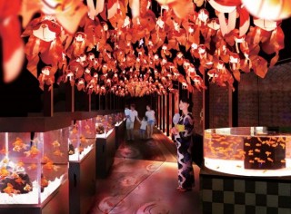 日本最大の金魚展示「お江戸の金魚ワンダーランド@すみだ水族館」で夏を満喫♪