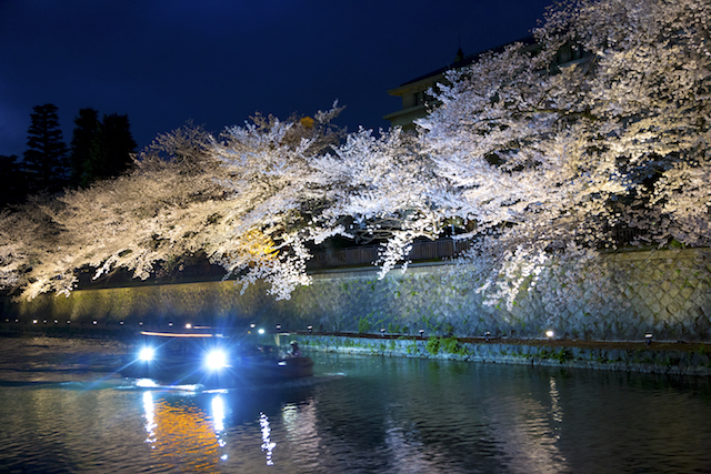 岡崎疎水の夜桜と十石舟
