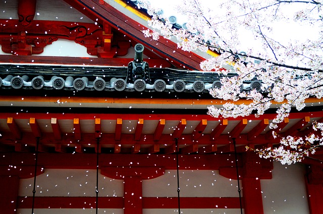 【京都編】桜と歴史散策を同時に楽める花見の名所