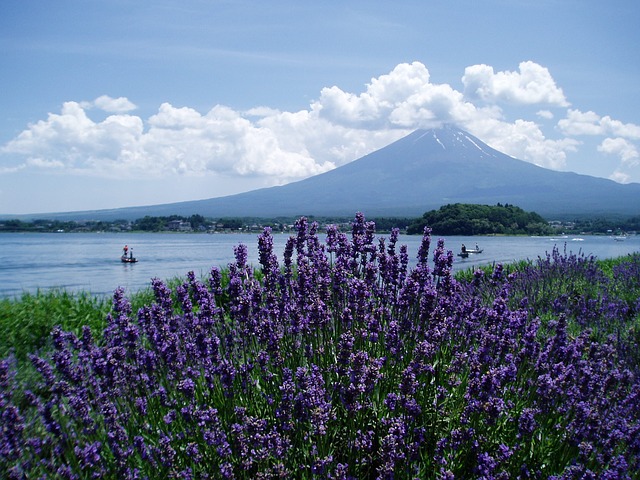 富士山が見える絶景の「河口湖クラフトパーク」で最高の思い出を作ろう！