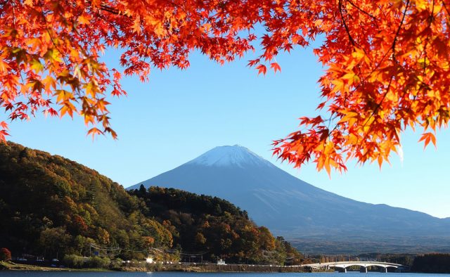 富士河口湖 紅葉