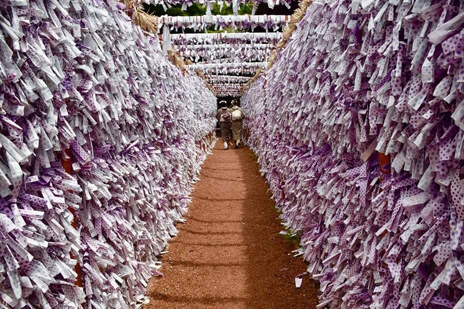 石浦神社 おみくじの道