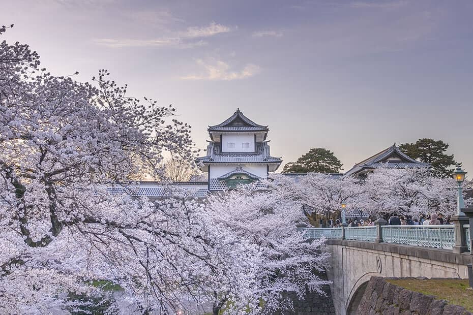 兼六園だけじゃない！金沢の桜の名所を巡る、春の欲張りルート