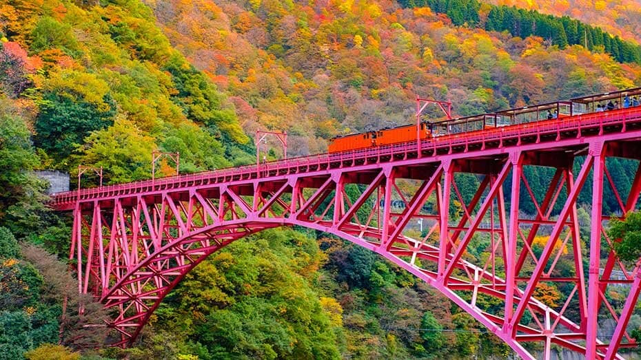 富山・黒部峡谷の紅葉トロッコ旅|風と音に包まれる秋の絶景へ