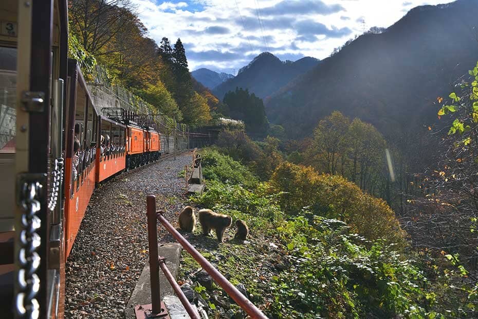 トロッコ電車からの眺望