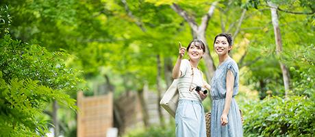 동경으로부터 교토에 저렴한 이동!야간버스·신칸센·비행기의 요금이나 소요 시간을 비교