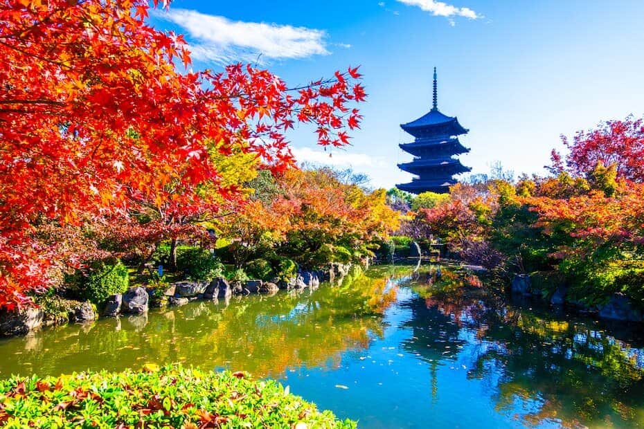 京都 秋の特別拝観ガイド｜普段は入れない名刹の扉が開く、夜行バスの旅