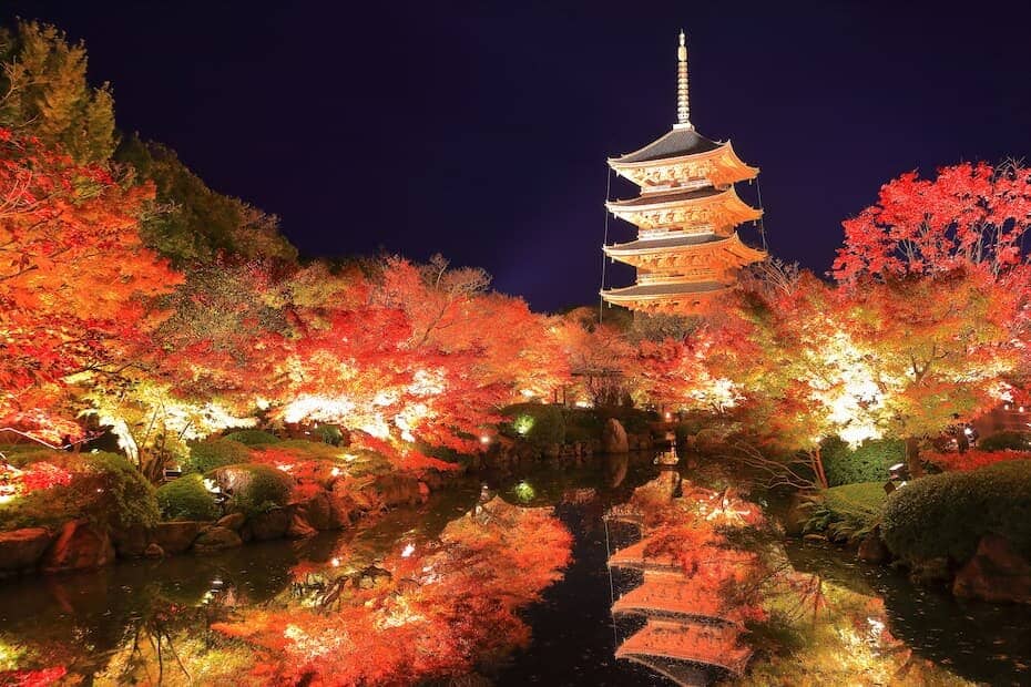  夜の東寺