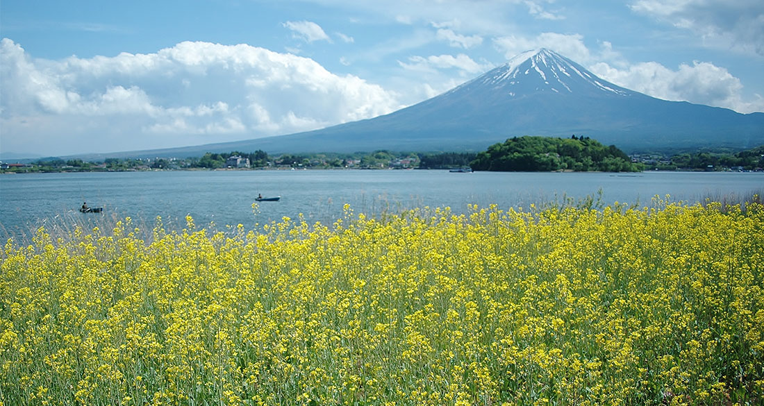 河口湖周辺のイメージ03