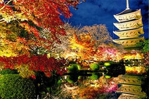 東寺の夜景