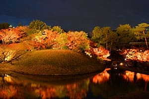 梅小路公園のライトアップ