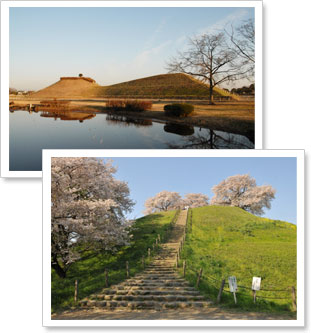埼玉古墳