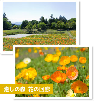 秩父ミューズパーク