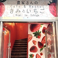 Cafe & Hostel you and strawberry